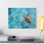 Sea Turtle Ocean Canvas Wall Art Stretched Canvas Wooden Framed for living Room Bedroom and Office