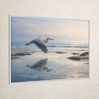 Azure Heron