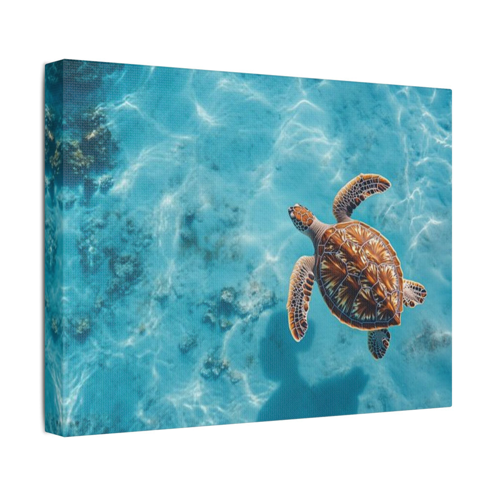 Sea Turtle Ocean Canvas Wall Art Stretched Canvas Wooden Framed for living Room Bedroom and Office