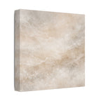 Mineral Dust Veil Stretched Canvas