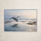 Azure Heron