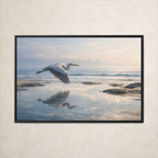 Azure Heron