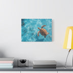 Sea Turtle Ocean Canvas Wall Art Stretched Canvas Wooden Framed for living Room Bedroom and Office