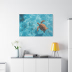 Sea Turtle Ocean Canvas Wall Art Stretched Canvas Wooden Framed for living Room Bedroom and Office