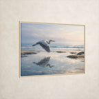 Azure Heron