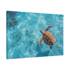 Sea Turtle Ocean Canvas Wall Art Stretched Canvas Wooden Framed for living Room Bedroom and Office