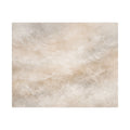 Mineral Dust Veil Stretched Canvas