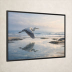 Azure Heron