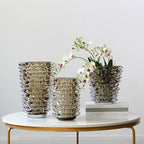 Creative Transparent Wrinkle Glass Vase Desk Decoration Flower Arrangement Hydroponics Flower Pots Floral Vases Modern Decor