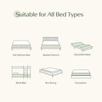 Mattress, 6 Inch Gel Memory Foam Mattress in a Box, Fiberglass Free, Breathable for Cooler Sleep, Customized